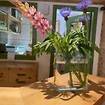 Fedaia Joy Bed & Breakfast 3*