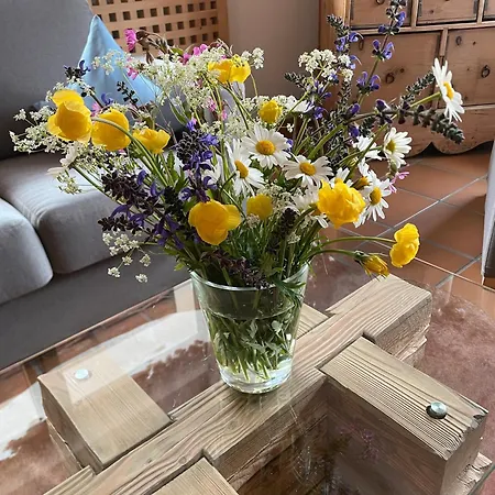 Fedaia Joy ベッド・アンド・ブレックファスト 3*