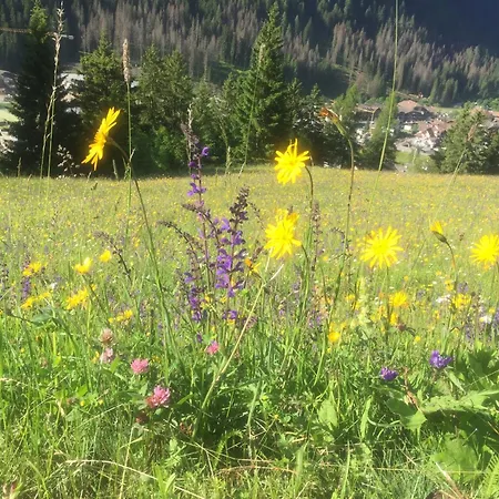 Fedaia Joy 3* Canazei