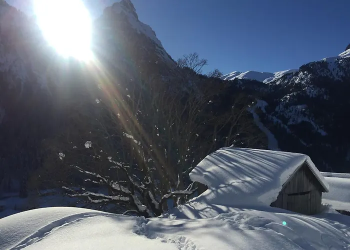 Couette-café Fedaia Joy