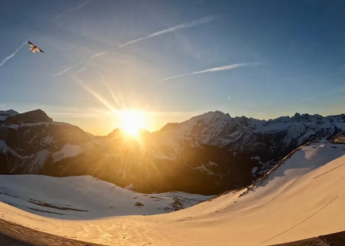 Fedaia Joy 3* Canazei