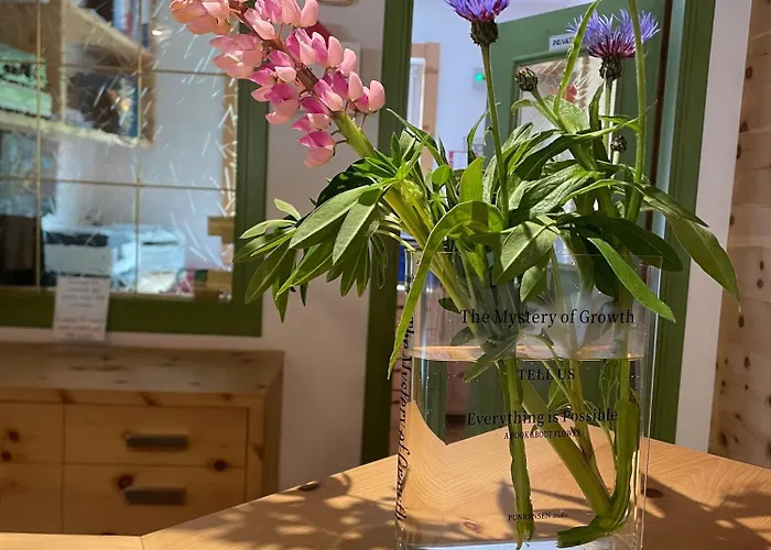 Fedaia Joy Oda ve Kahvaltı 3*