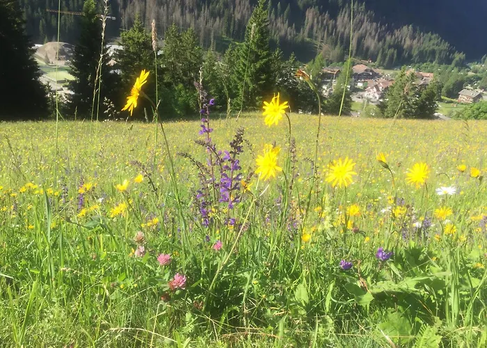 Fedaia Joy 3* Canazei